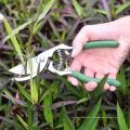 Outil de jardin en acier en carbone lame non cadavre Rester des arbres fruitiers jardins aigus contourner les cisaillements ciseaux de pruneaux